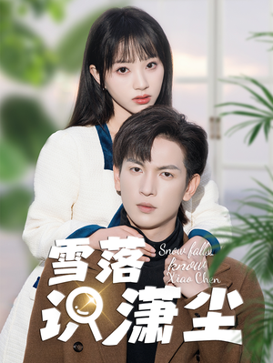 《雪落识潇尘》（80集）全集短剧免费在线看个够