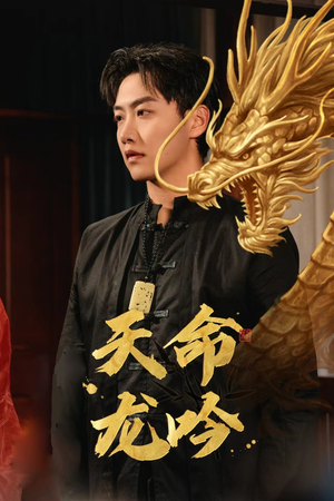 《天命龙吟》（48集）热门短剧全集在线看