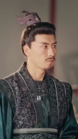 《精忠报国》（41集）全集短剧免费在线赏