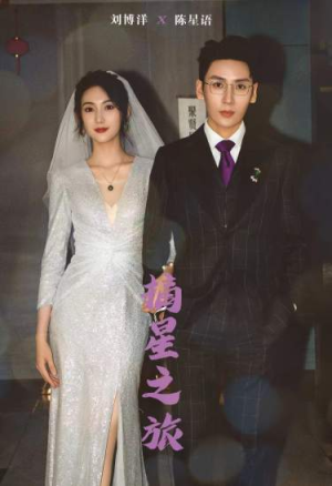 《摘星之旅》（88集）免费短剧畅享完整剧情