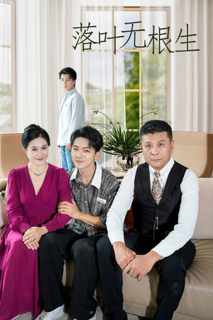 《落叶无根生》（45集）短剧精彩剧情一追到底