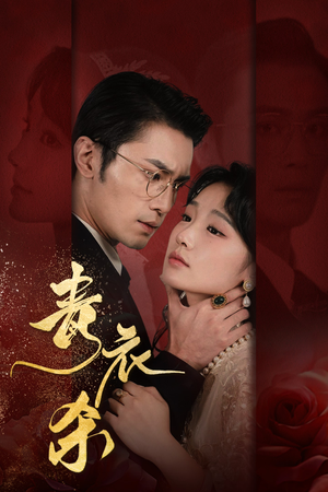 《青衣杀》（66集）看短剧精彩剧情不容错过