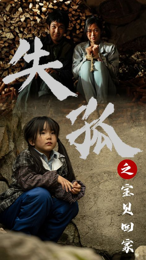 《失孤之宝贝回家》（71集）追短剧全集免费畅享