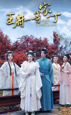 王府一等家丁(93集) 王府一等家丁(93集)全集一网打尽