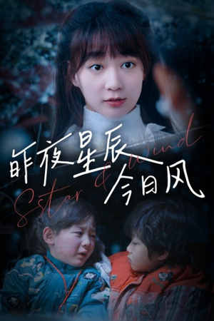 《昨夜星辰今日风》（62集）追短剧不停歇精彩全集
