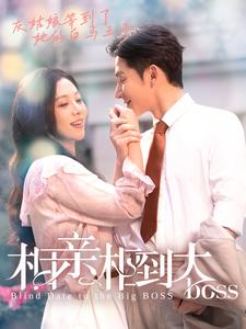 《相亲相到大boss》（101集）短剧在线免费全集观看
