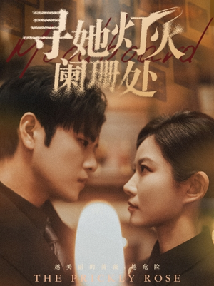 《寻她灯火阑珊处》（61集）免费短剧完整版随心看