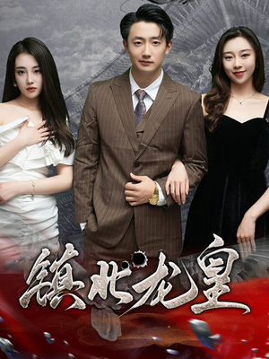 镇北龙帅（97集）热门短剧抢先看