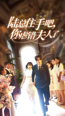 《陆总住手吧，你虐错夫人了》（80集）在线短剧畅享完整剧情