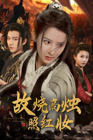 《故烧高烛照红妆》（62集）在线短剧全集精彩一览