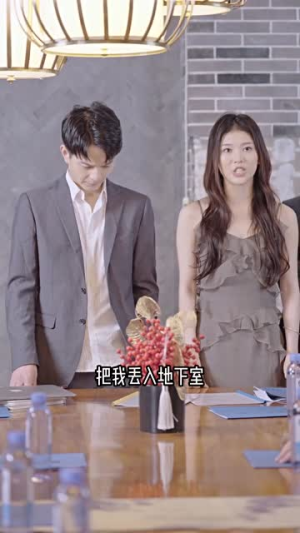 《弃少归来谍中谍》（100集）热门短剧全集畅快赏