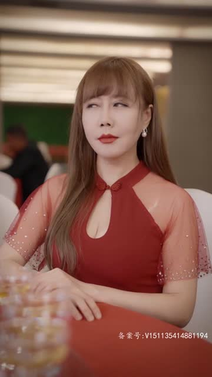 《隐龙记 曹毅》（70集）看短剧全集免费嗨翻天