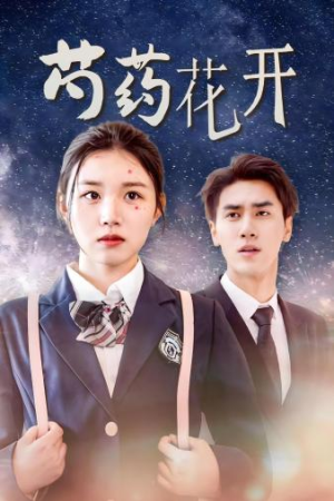 《火光中的芍药花》（77集）短剧免费全集速看