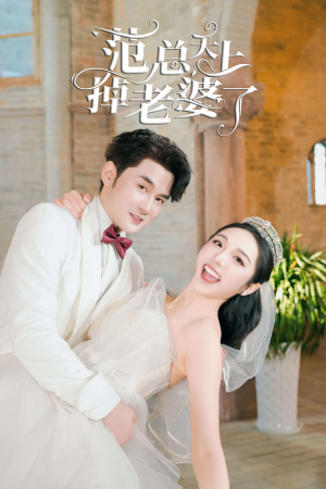 《范总天上掉老婆了》（78集）免费短剧全集在线畅快看