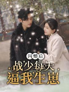 《闪婚后战少每天逼我生崽》（91集）在线短剧全集免费连看