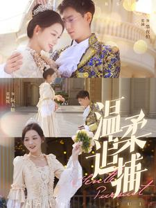 温柔追捕(89集) 温柔追捕(89集)最后一集