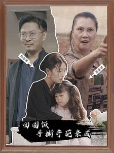 《团圆饭手撕奇葩亲戚》（40集）免费短剧全集追到底