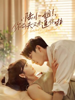 《陆小姐！你前夫又来追你啦》（67集）超火短剧畅快追完整