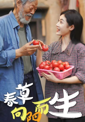 《春草向阳而生》（53集）爆款短剧全集免费看