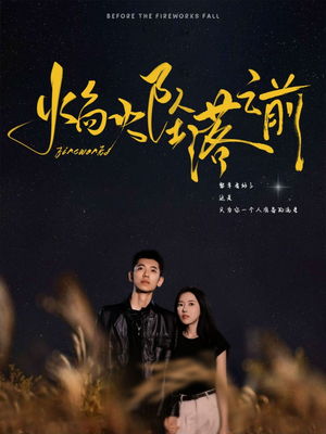 《焰火坠落之前》（99集）精彩短剧在线看全集畅追
