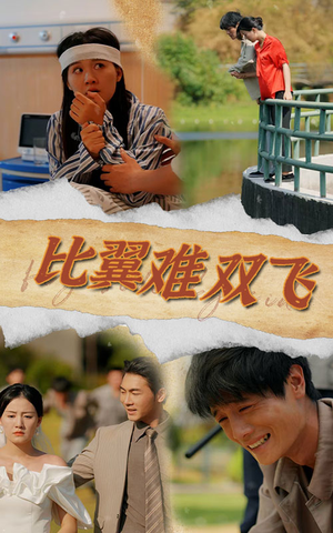 《比翼难双飞》（30集）短剧免费全集在线速看
