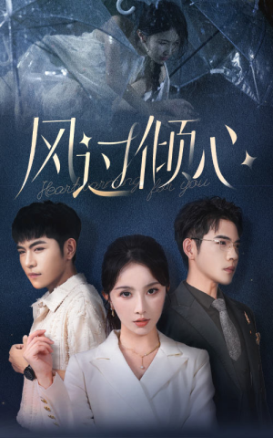《风过倾心》（62集）免费短剧畅享全集追