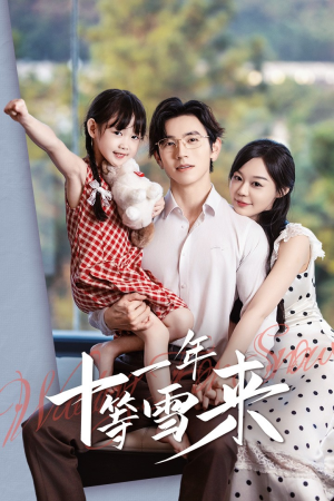 《十一年等雪来》（50集）在线看短剧全集不停