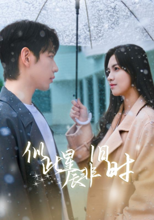 《似此星辰非旧时》（59集）免费看短剧全集不停