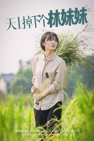 《天上掉下个林妹妹》（81集）热门短剧一口气追完超爽