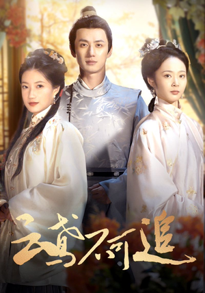 《云鸢不可追》（42集）短剧免费全集在线畅看