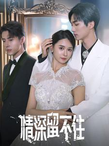 《情深留不住》（80集）看短剧精彩剧情一网尽