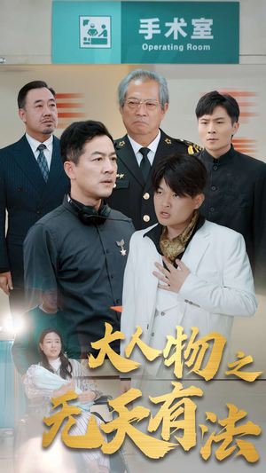 《新大人物之无天有法》（35集）在线短剧全集免费追