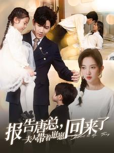 报告唐总夫人带着崽崽回来了（100集）一起看短剧