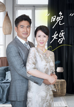 《晚婚》（65集）短剧精彩剧情一追到底