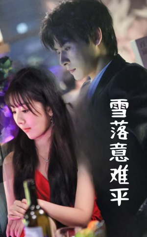 雪落意难平(35集) 雪落意难平(35集)超火短剧抢先看