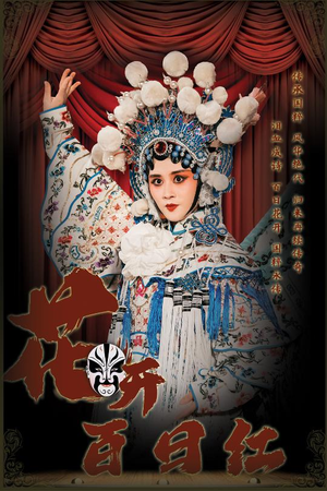 花开百日红（30集）在哪里可以看