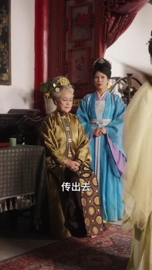 《宫墙今夜有雪》（84集）短剧全集免费畅快看