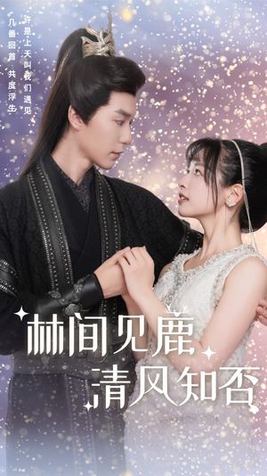 《林间见鹿清风知否》（62集）短剧全集免费在线畅看