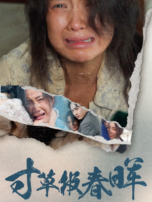 寸草报春晖（65集）新短剧推荐