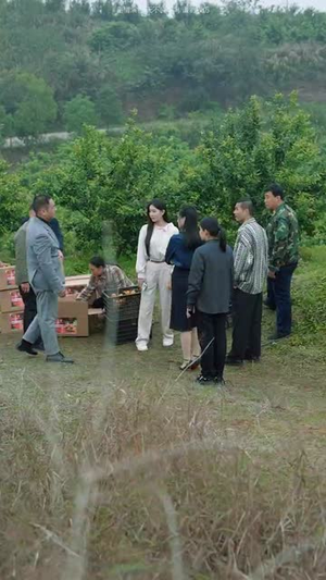 《我本真心换薄情》（49集）免费短剧一口气追完