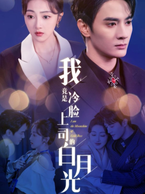 《我竟是冷脸上司的白月光》（80集）在线追短剧全集不停