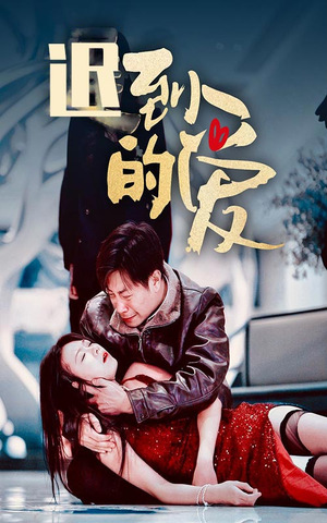 《迟到的爱》（35集）免费在线短剧全集速看