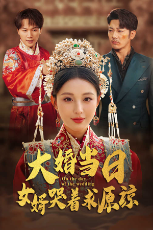 《大婚当日，女婿哭着求原谅》（31集）短剧免费看全集无忧