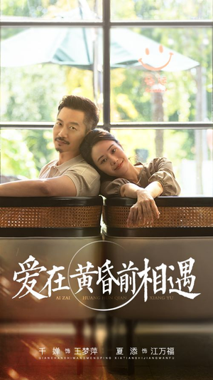 《爱在黄昏前相遇》（65集）短剧精彩剧情一追到底