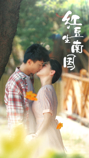 《红豆生南国》（53集）一口气追完热门短剧