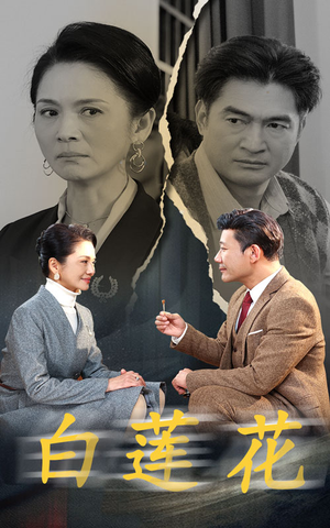 《白莲花》（40集）在线短剧畅享全集追