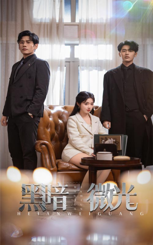 黑暗微光(66集) 黑暗微光(66集)剧好看短剧推荐