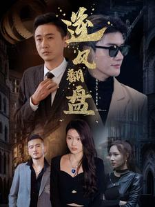 《新：逆风翻盘》（94集）免费看短剧全集过瘾