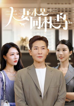 夫妻本是同林鸟(76集) 夫妻本是同林鸟(76集)超爽短剧推荐