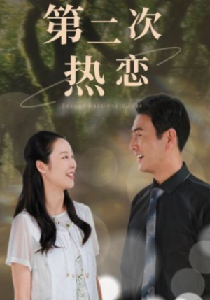 《第二次热恋》（48集）短剧在线畅享精彩剧情